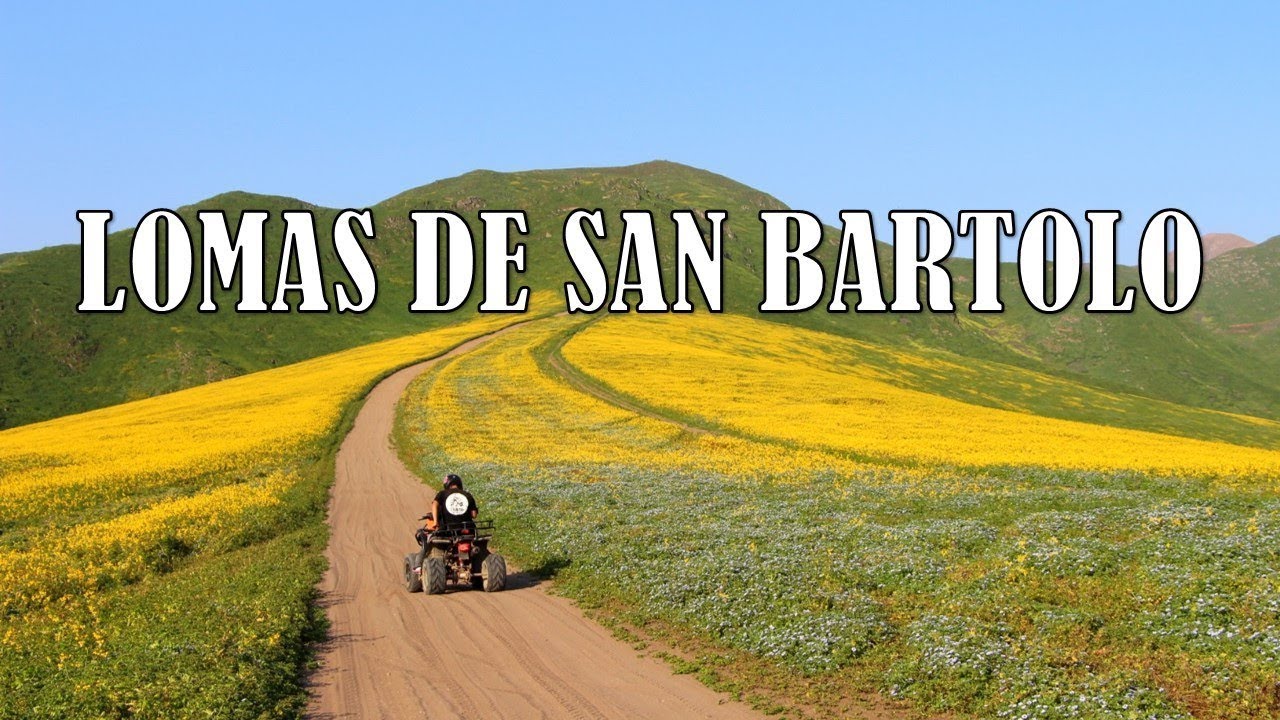 Lomas de San Bartolo en CUATRIMOTOS 🏍!! - Lima # 6 / EvR