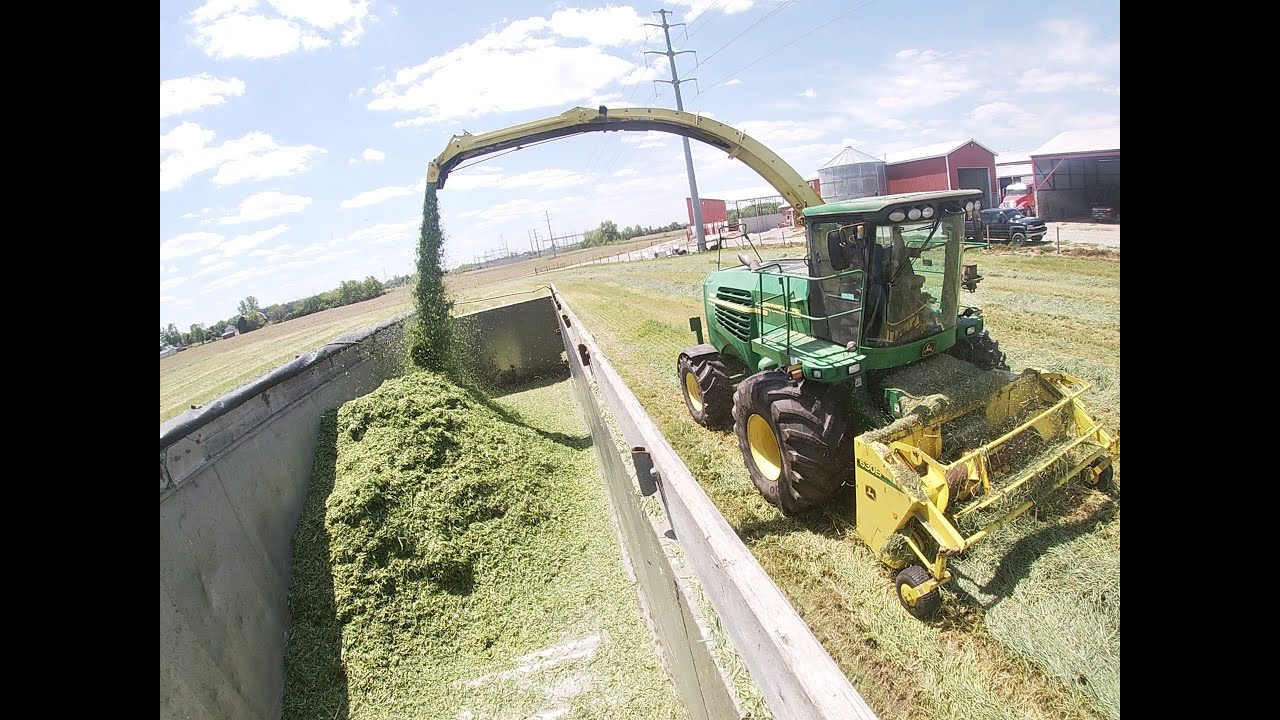 Chopping Rye Harvest 2021      Millersport, Ohio