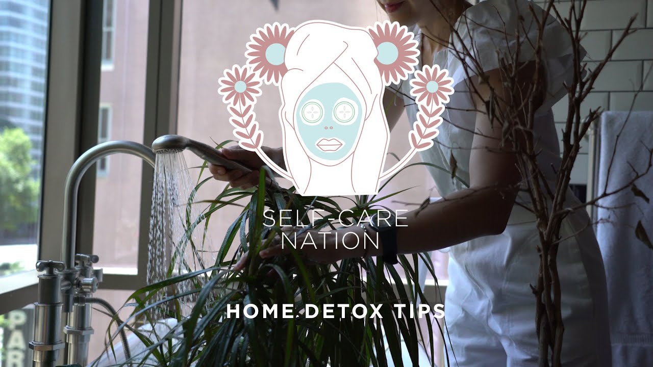 Home Detox Tips from Non Toxic Living Expert Sophia Ruan Gush&eacute;e | Self-Care Nation | Well+Good
