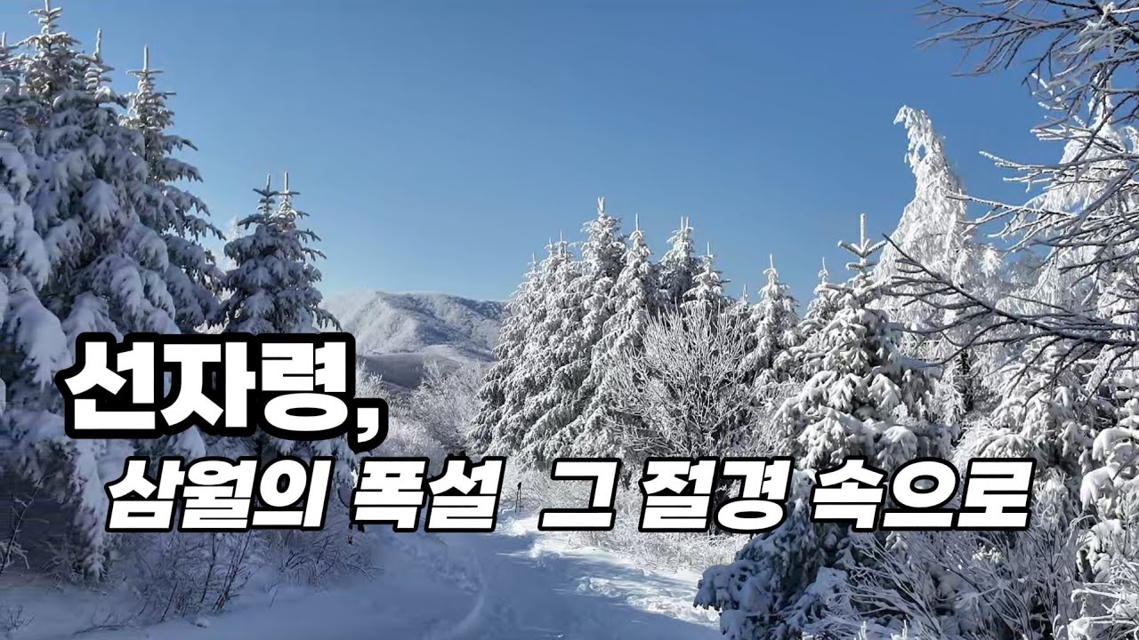 3월은 눈의 계절/ 선자령, 3월에 만난 폭설 / 겨울 백패킹 명소 / 봄눈이 피운 눈꽃