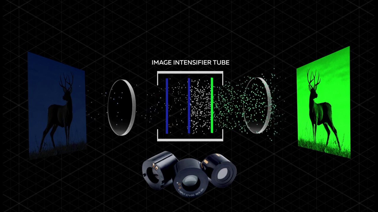 How Does Night Vision Work?