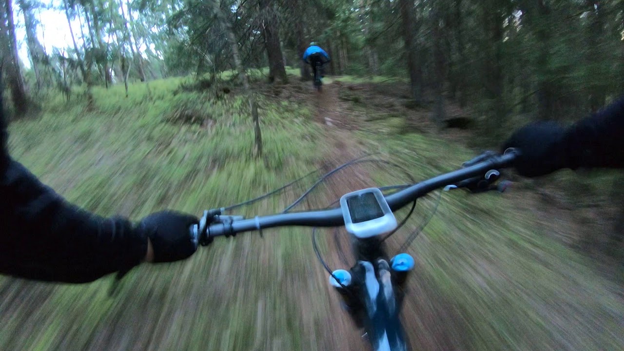 Ny fet sti i Årvollåsen 