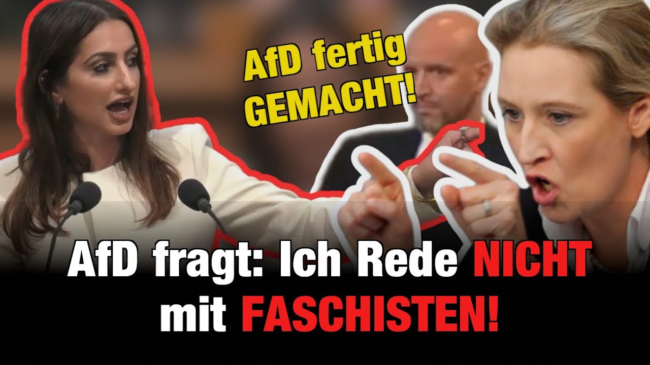 💥WAHNSINN AfD KOMPLETT fertig gemacht! Ich rede nicht mit FASCHISTEN!