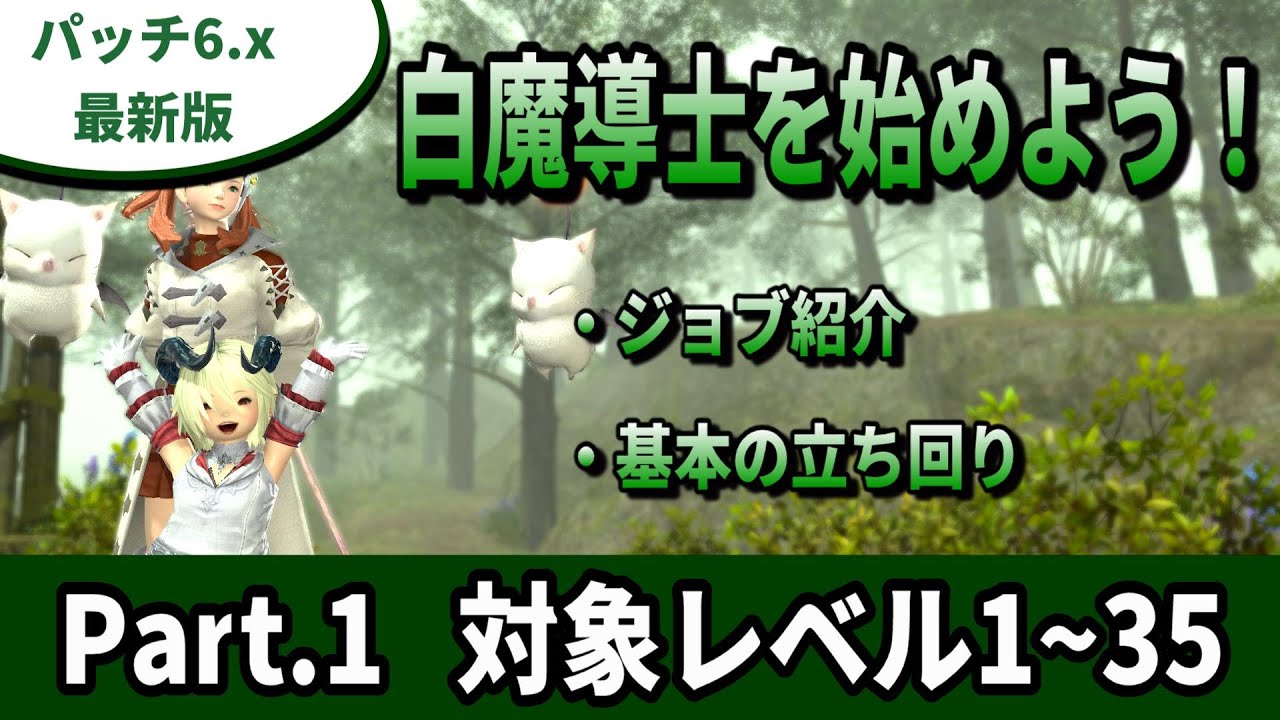 【FF14】白魔導士を始めよう！#01　初心者向け基本の立ち回り【6.x最新】【解説】