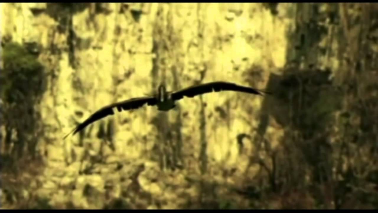 GRUPO JHAMP El viento la brisa y tu recuerdo