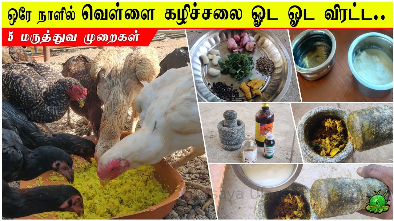 ஒரே நாளில் வெள்ளை கழிச்சலை ஓட ஓட விரட்ட இதை செய்யுங்கள் / Vellai Kalichal Noi Medicine in Tamil ??