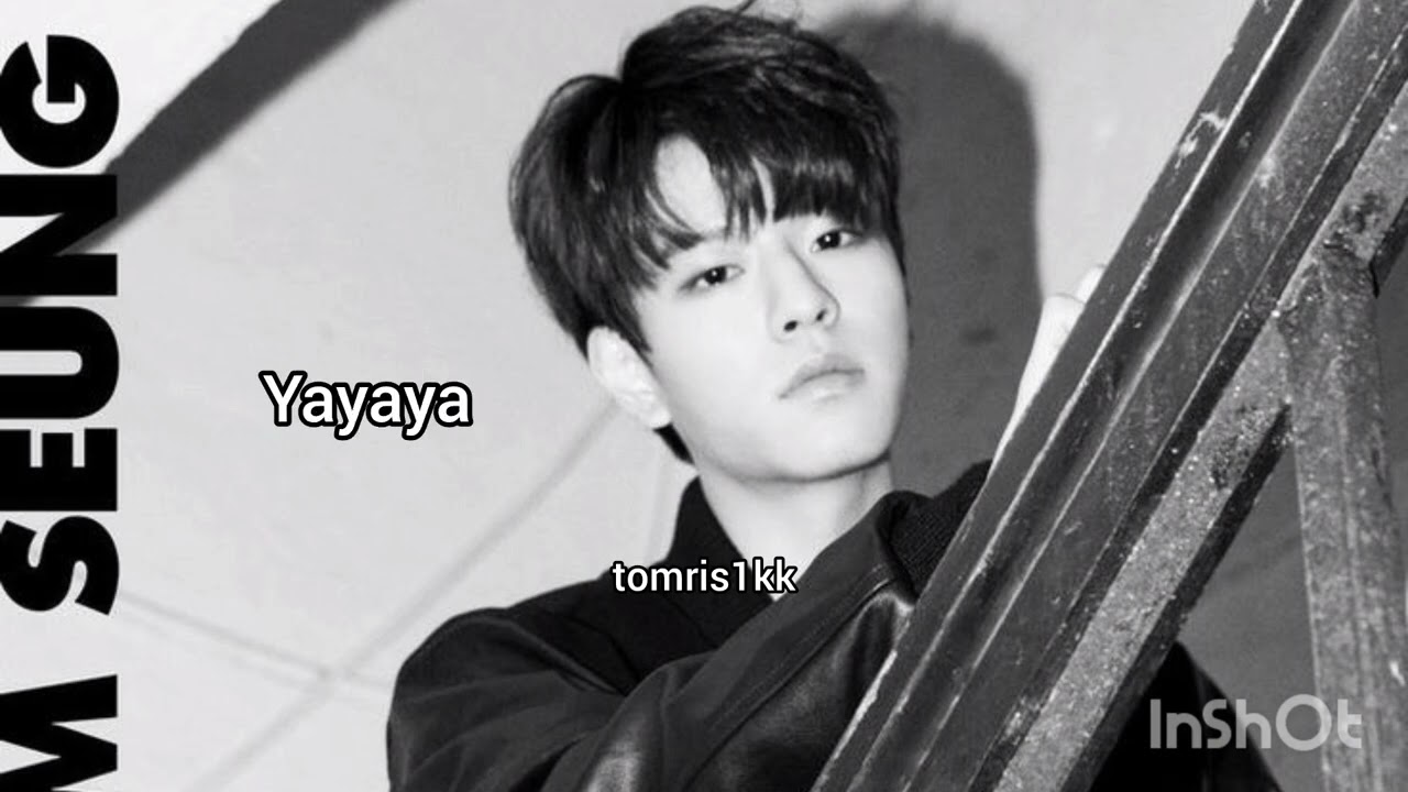 Stray kids Seungmin mixtape album line parts 