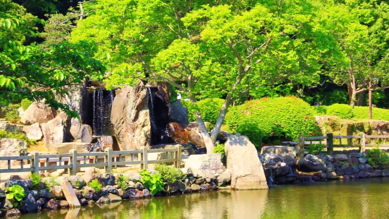 新緑の大村公園