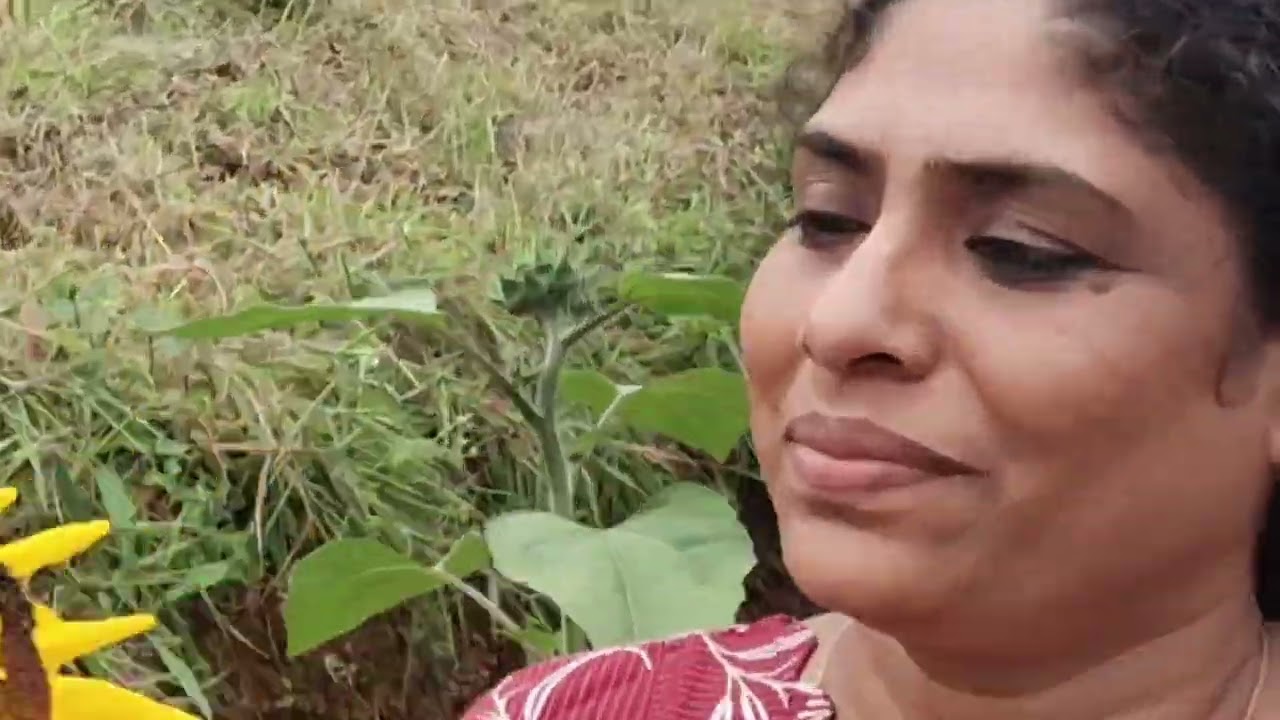 #എന്റെ ക്യാമറ ഒപ്പിയടുത്തത്  🥰ബോട്ടാണികൾ ഗാർഡൻ ❤️❤️