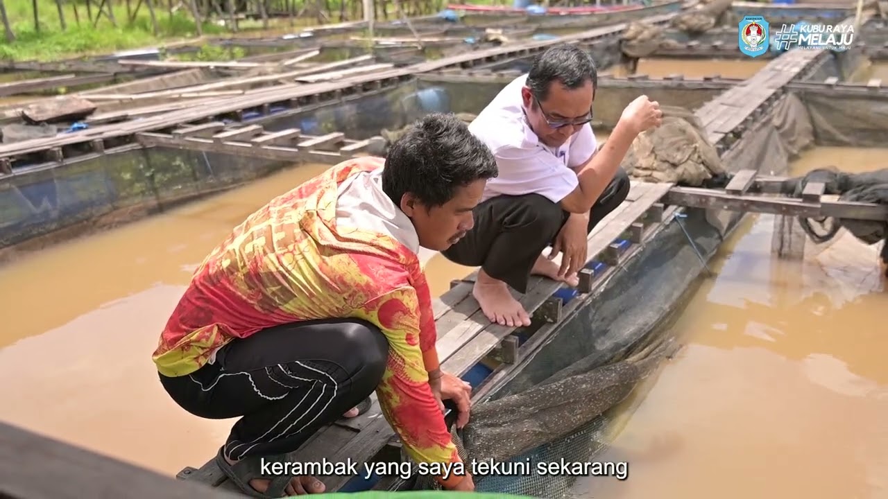 MONITORING PEMBESARAN IKAN KONSUMSI DENGAN MEDIA KERAMBA JARING APUNG DI DESA MEKAR SARI