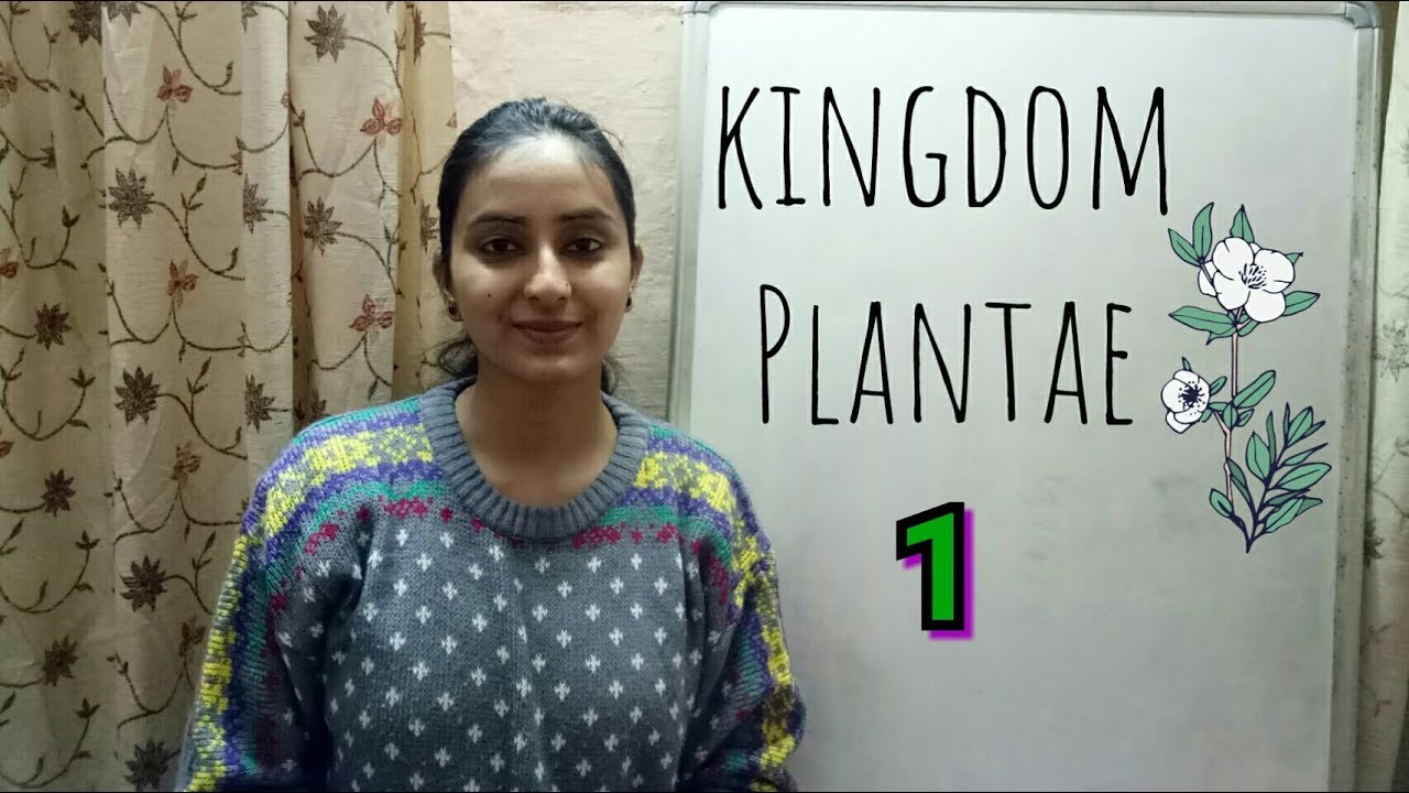 Kingdom Plantae | Biological classification part-5 | Class XI | Lecture 33