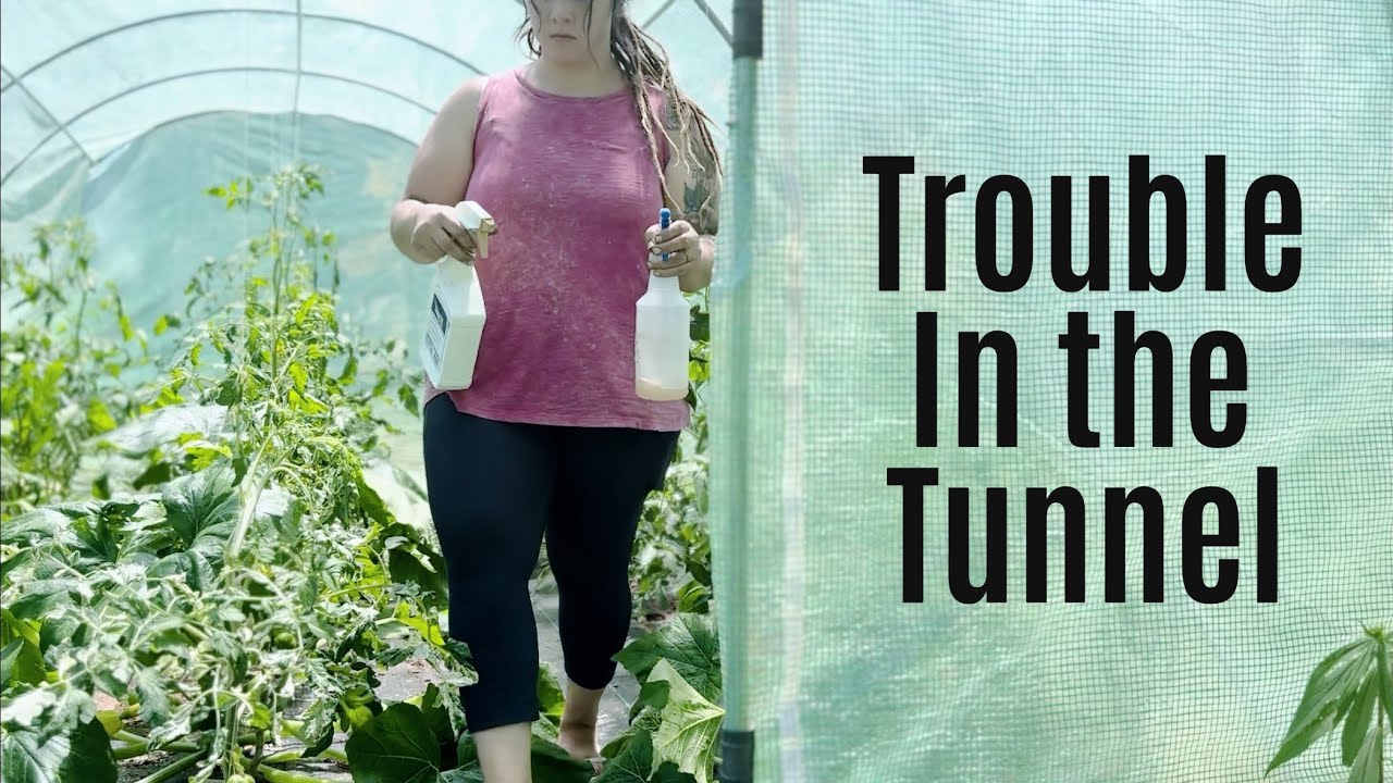 Trouble in the Tunnel | Homestead VLOG 🐛🍅