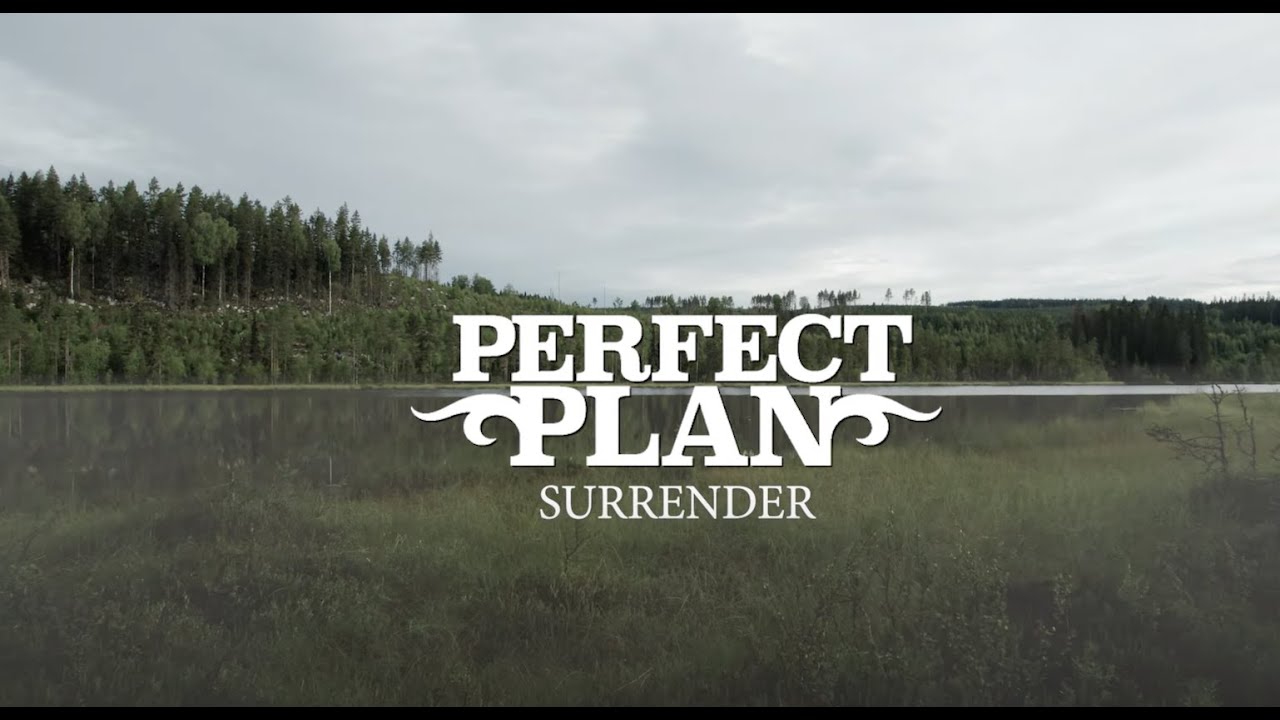 Perfect Plan - 