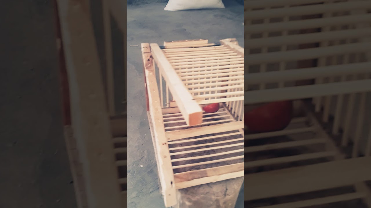 السلام عليكم صيادات شغل أيدي للبيع  رقم الهاتف  .. (07723130392)