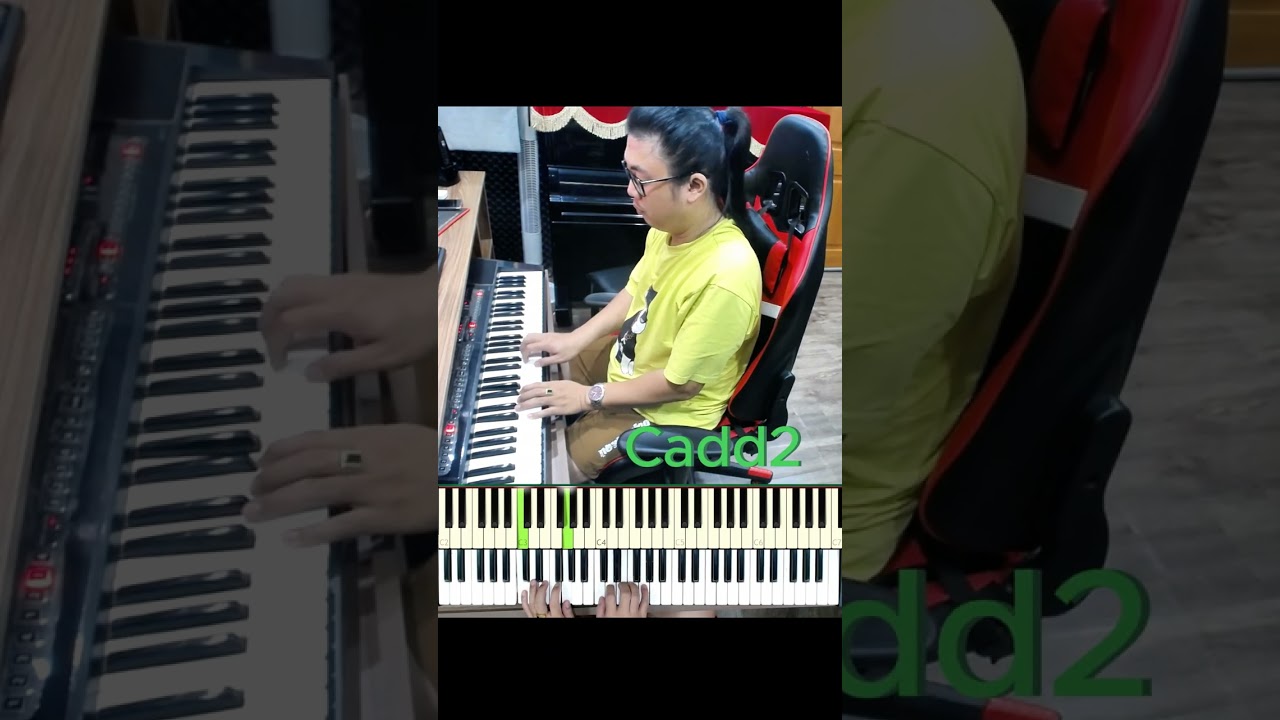 Đệm Hát Piano - Một Đời - Hợp Âm Cực Hay