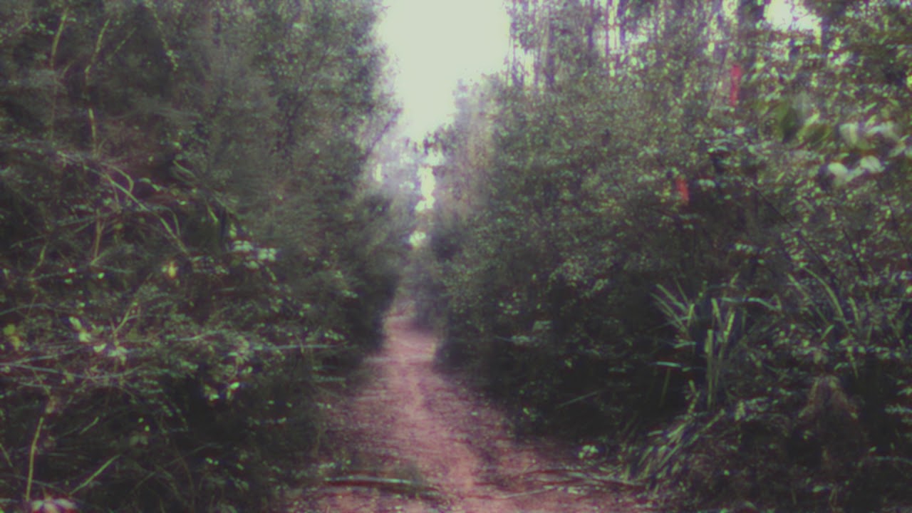 IMG 0228 #RetoLofi