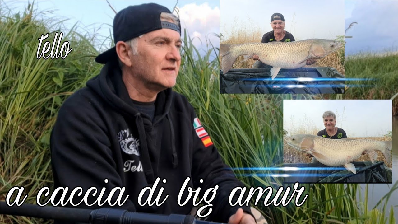 i grossi AMUR dei canali ferraresi