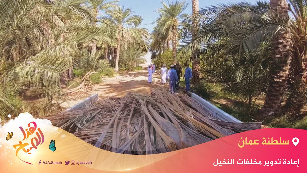 🌅 هذا الصباح - سلطنة عمان.. إعادة تدوير مخلفات النخيل