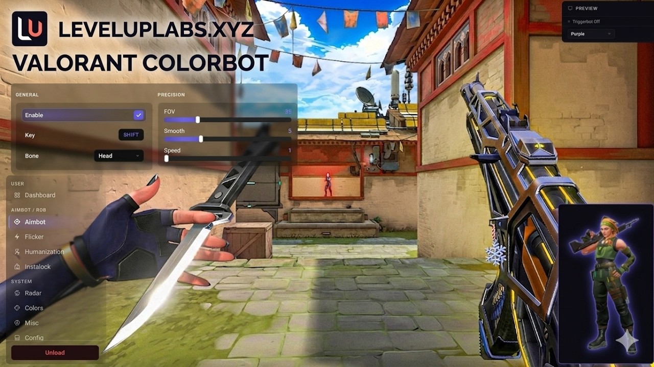 Showcasing The Most Powerful Valorant Colorbot (VALORANT AIMBOT) - Setup / Showcase!