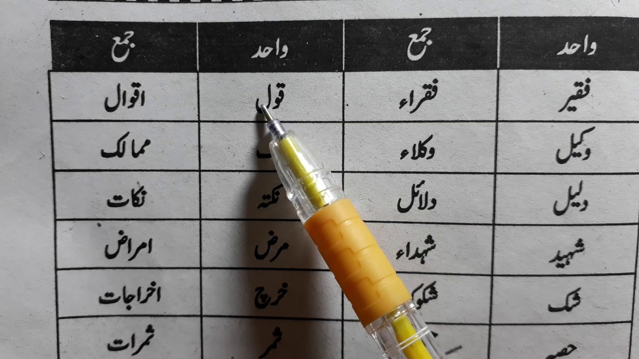 Class 8 Wahid Jama #urdu_grammar jaan pehchan #ncert #urdu