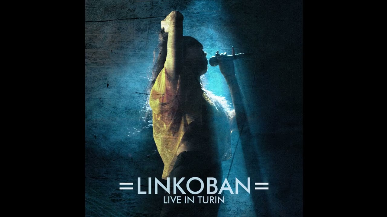 Linkoban - One trick pony (live 2013 | Lapsus, Torino)