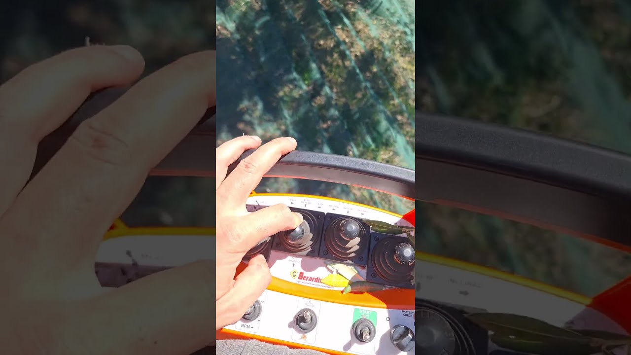 scuotitore olive berardinucci prova prima pianta