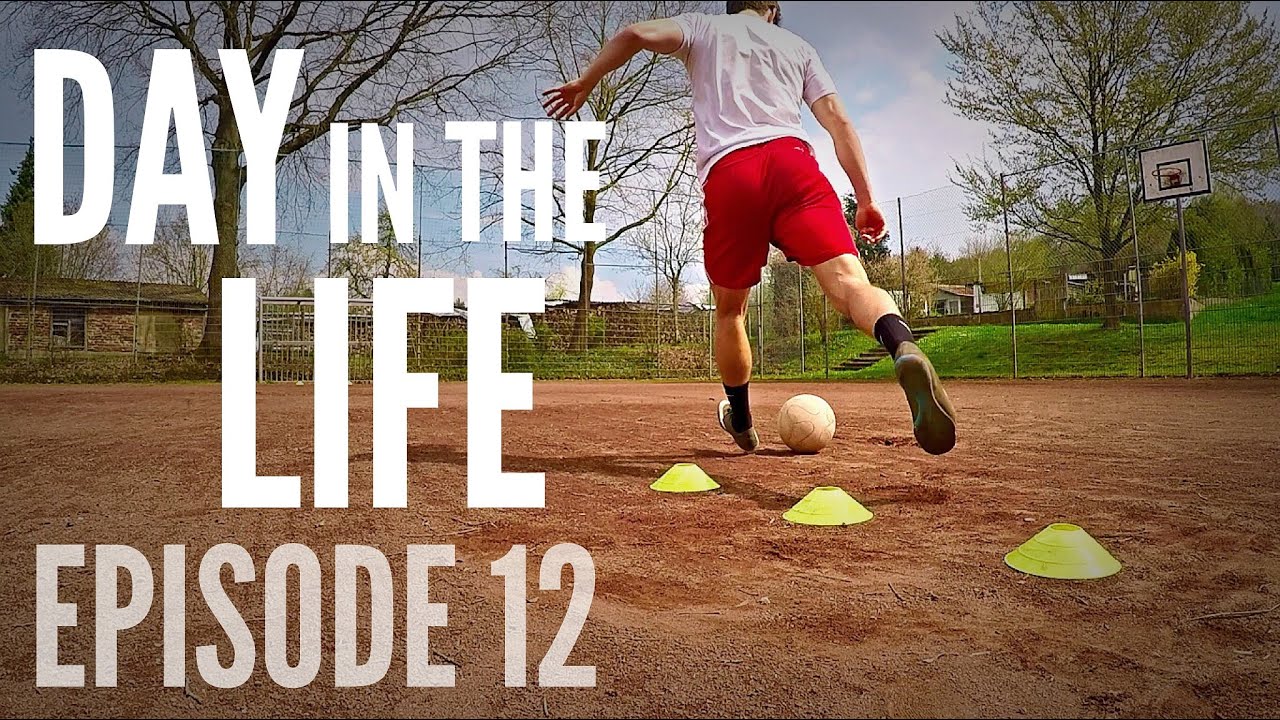 Day in the Life 12: Training and Q+A!