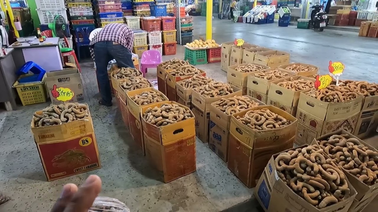 เช็คราคาผลไม้ ตลาดเมืองทอง จังหวัดอุดรธานี ( เศรษฐี ไม่มีนาย EP.207 )