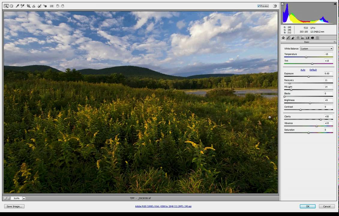 Double Processing a RAW File.avi