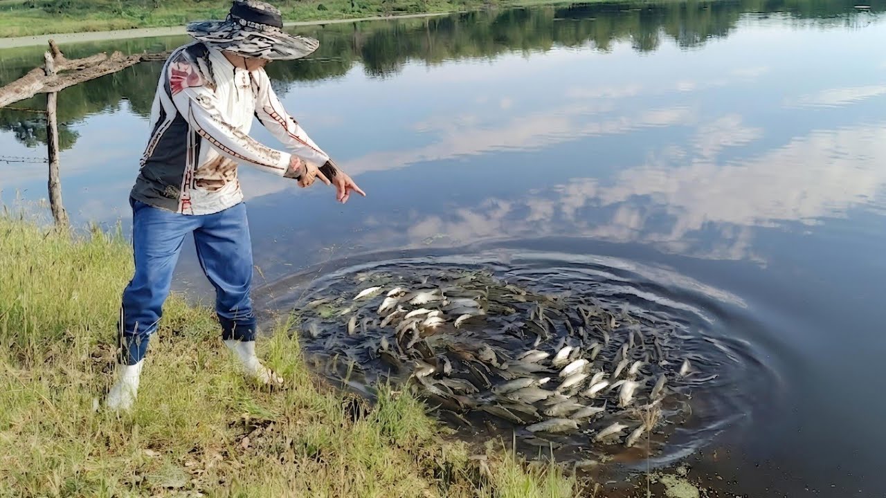 ENCHENDO OS A&Ccedil;UDE DE PEIXES PARA DEPOIS TER A FARTURA NA PESCARIA 