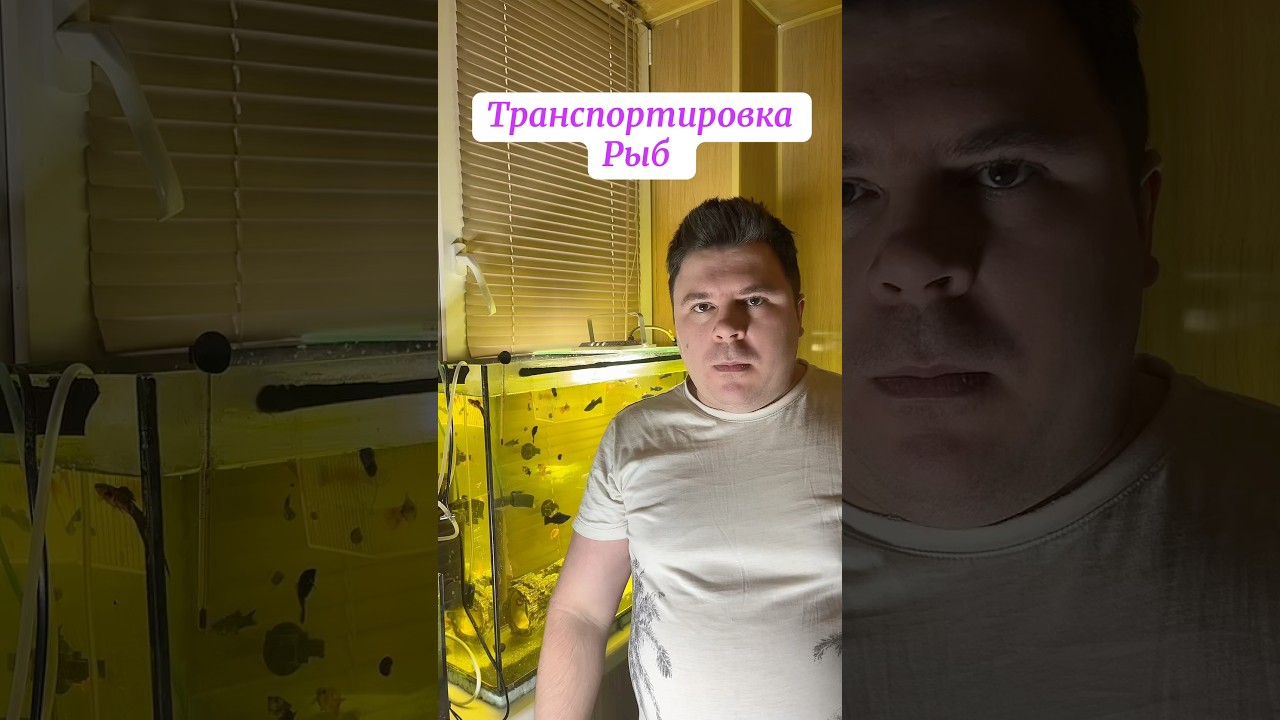 Правило при отправке рыбок
