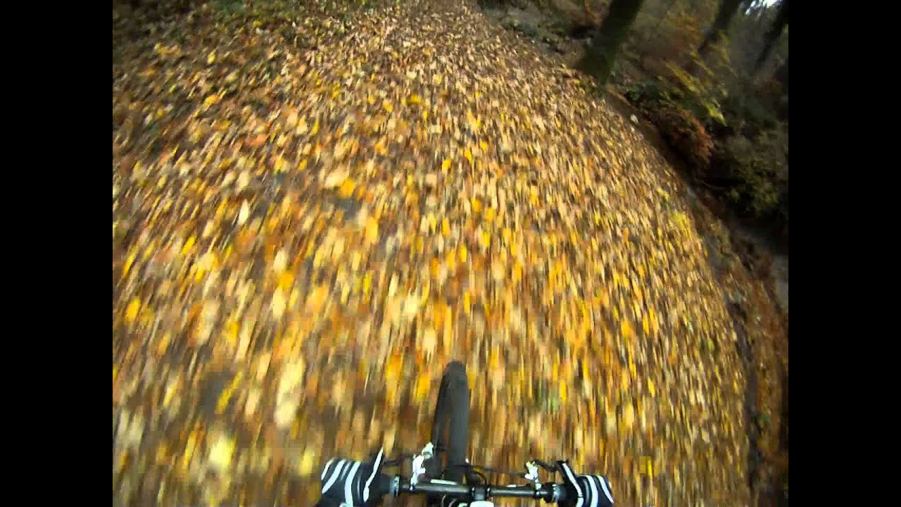 Nino - MTB Trails Pfannenstiel Toggwil Meilener Tobel, Scott 899, luckynino
