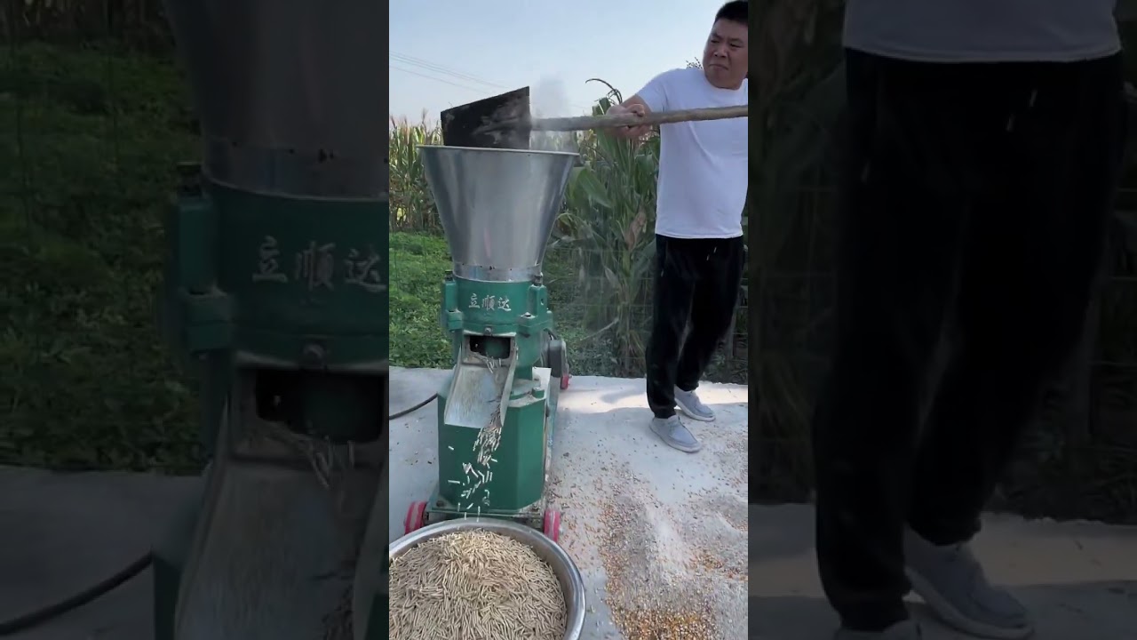 Animal feed pellet mill 500 kg per hour production