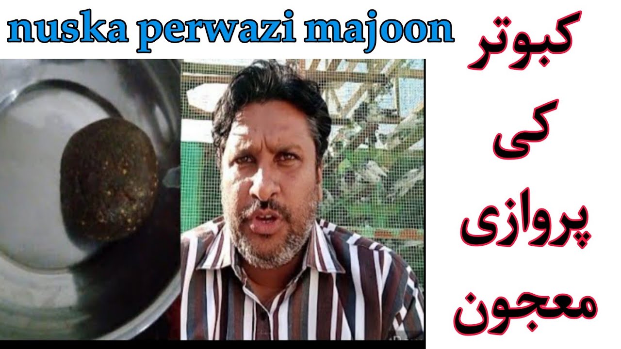 nuska kabootar ki perwazi majoon 💯نسخہ کبوتر کی پروازی معجون