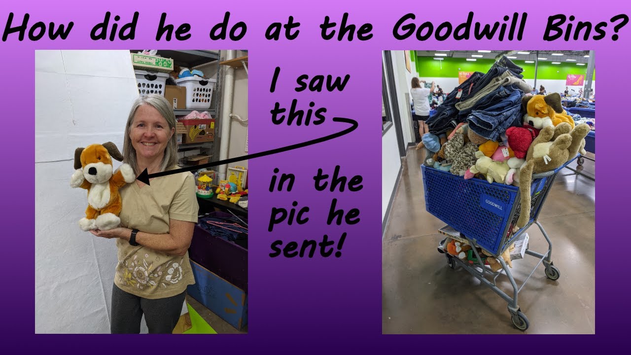 My husband spent an hour at Goodwill bins on a trip. How did he do? eBay seller shows what he found.