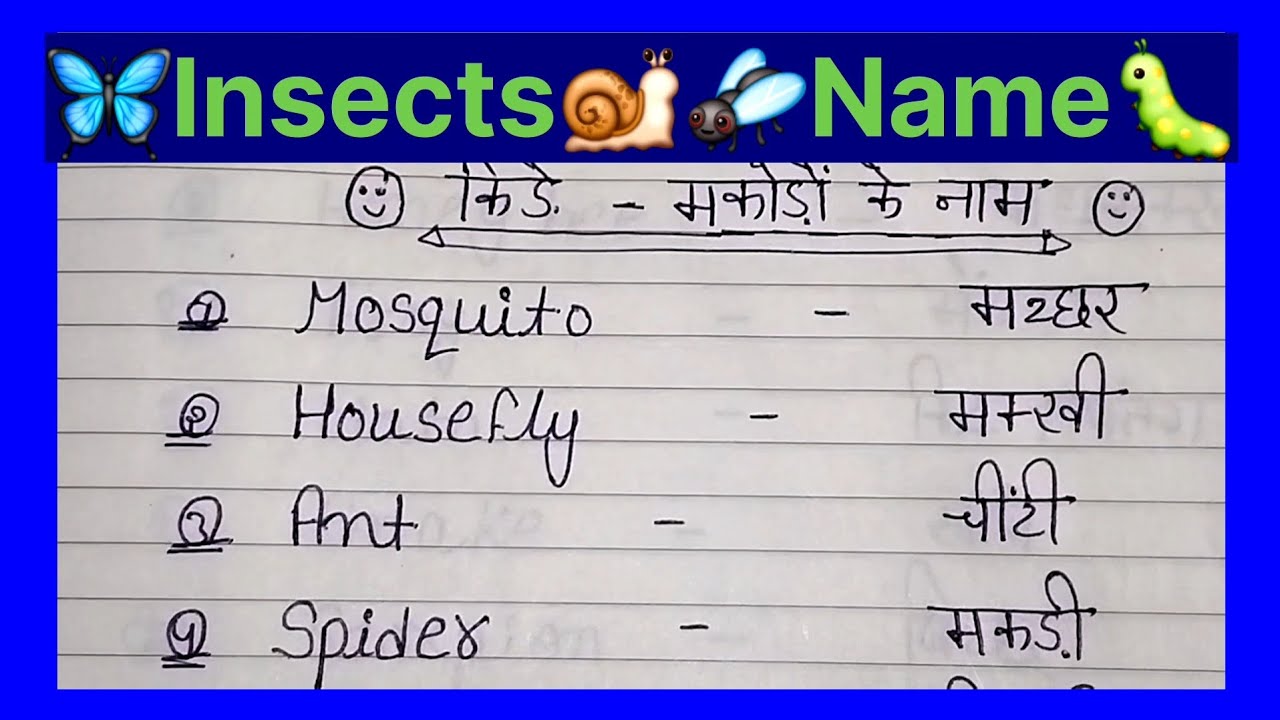 How to learn Insects Name🐝🐌किडे -मकोडो के नाम। Insects Name in Hindi and English.