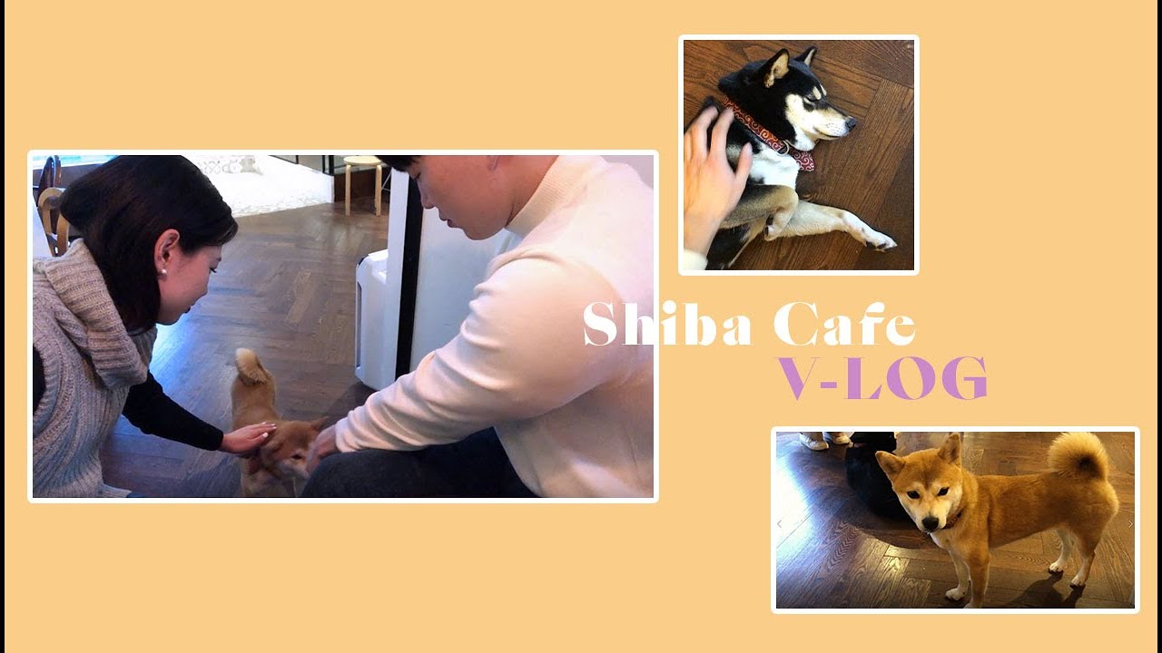 [V-LOG] ITEWON AREA : The Mi Three Cafe / Coreanos  Kitchen