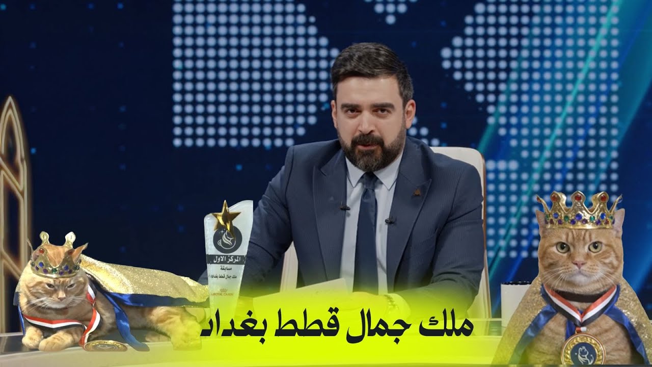 ملك جمال قطط بغداد | البشير شو اكس ومربع - حمّام سوگ