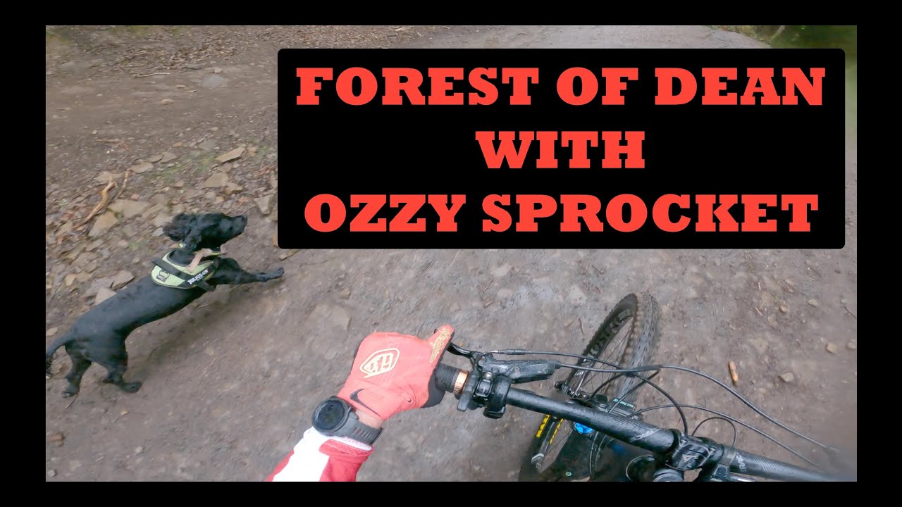 Forest of Dean EMTB with Ozzy Sprocket ~ April 2025