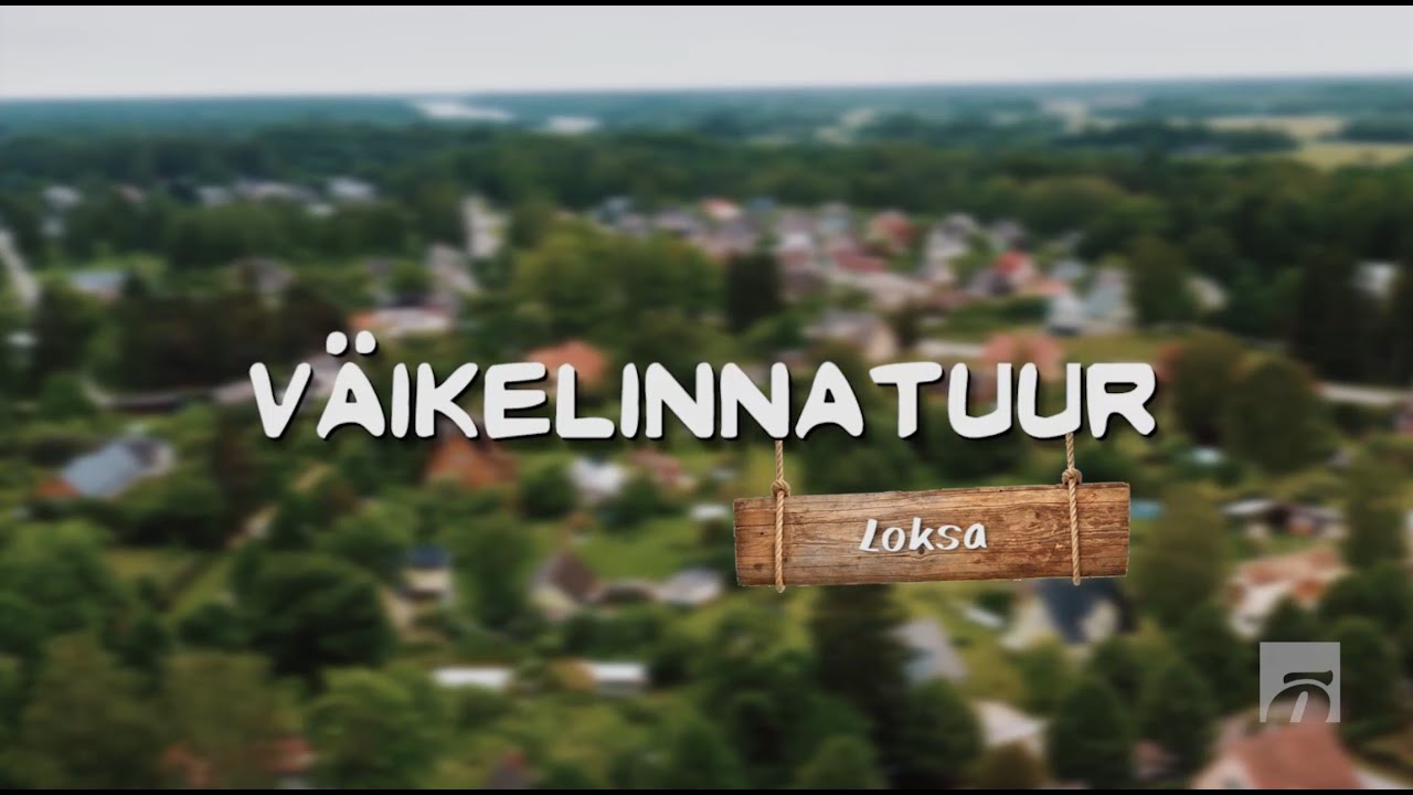 VÄIKELINNATUUR: Loksa meelitab mere ja liivarannaga, ideaalist puuduvad vaid naised
