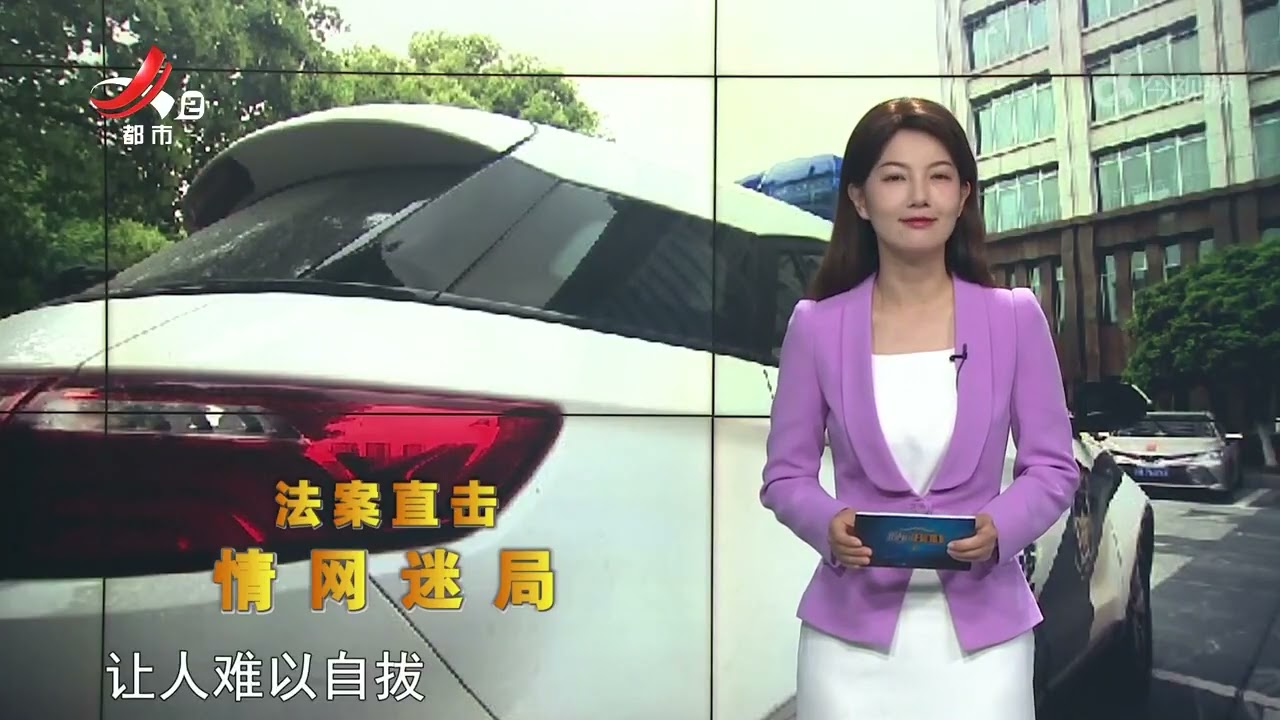 《晚间800》 20250429 法案直击：情网迷局
