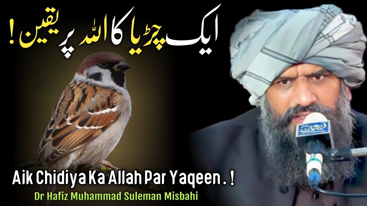 Aik Chidiya Ka Allah Par Yaqeen? Dr Hafiz Muhammad Suleman Misbahi Full Bayan