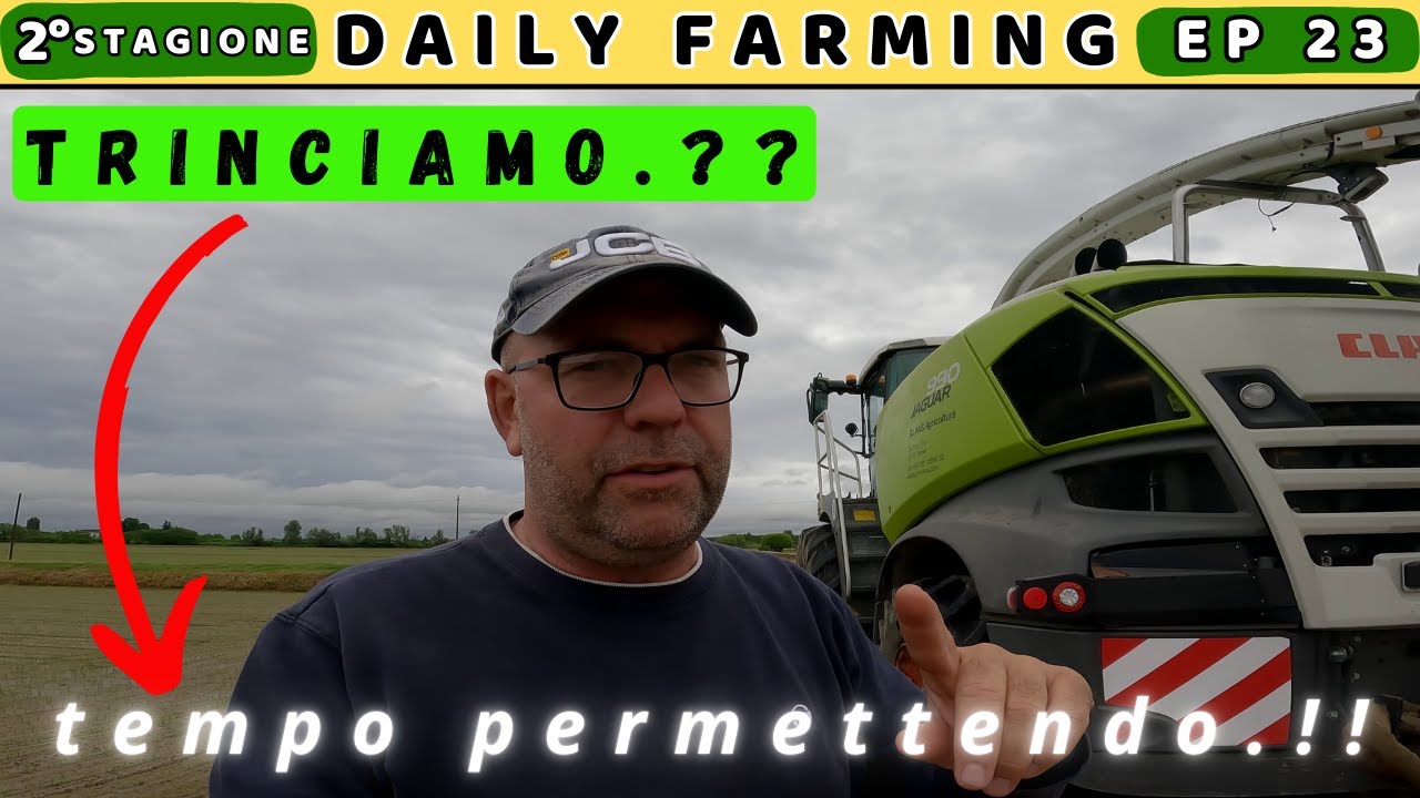 **RIUSCIREMO A TRINCIARE TUTTO IL TRITICALE** | 70mm  di pioggia | dailyfarming23