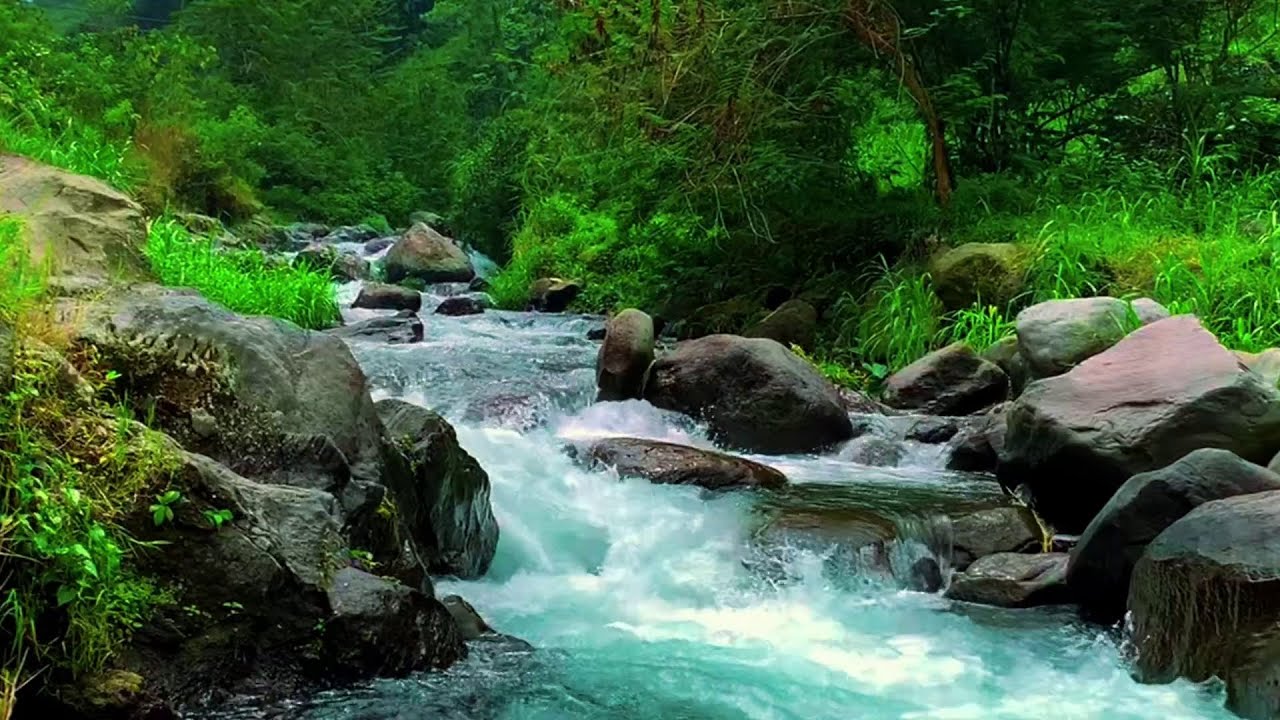 Soothing Water Sounds | Flowing River for Ultimate Relaxation