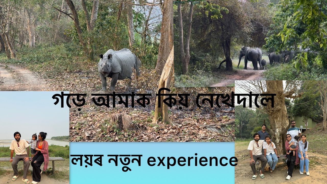 বহুত বেলেগ বেলেগ জন্তু দেখিলো।kaziranga Burapahar range safari #kaziranganationalpark#wildlife#rhino