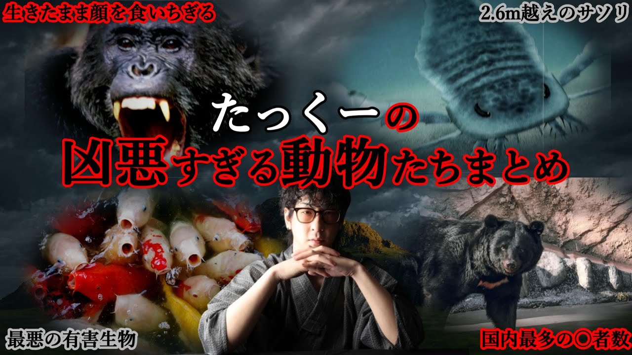 【切り抜き】 凶悪すぎる動物たちまとめ【たっくーTV/作業用】