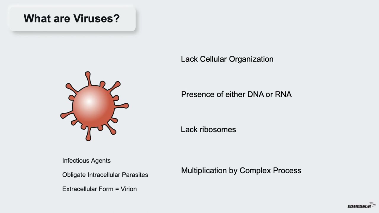 COVID-19 SERIES: WHAT ARE CORONAVIRUSES?