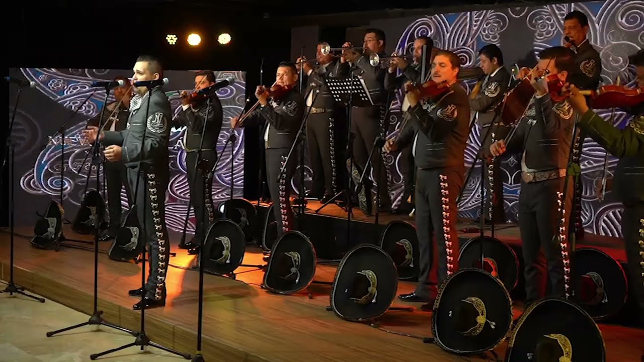 MARIACHI NUEVO TECALITLAN / TU VOZ