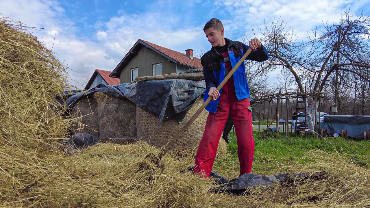 U 7. deceniji sa unučadima brine o farmi krava!
