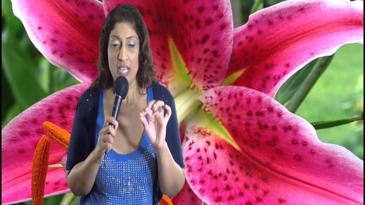 North Node in Capricorn or 10th House Astrology Series by Nadiya Shah